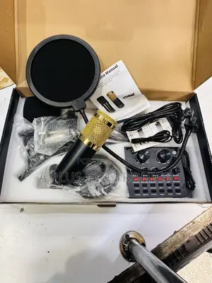 V8 Podcast Microphone With Live Recording Feature