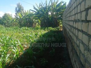 50x100 Commercial Plot Turitu Shopping Center - main view