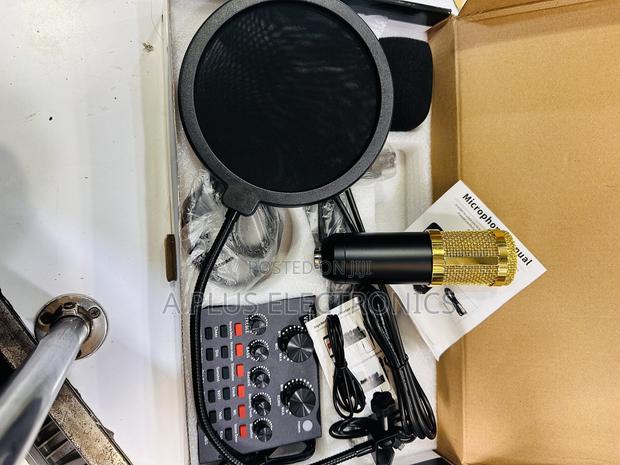 Budget Studio V8 Condenser Microphone - main view