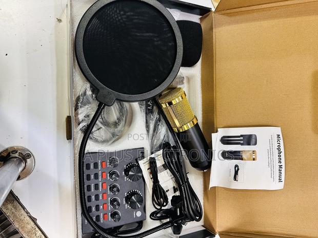 V8 Condenser Microphone - main view