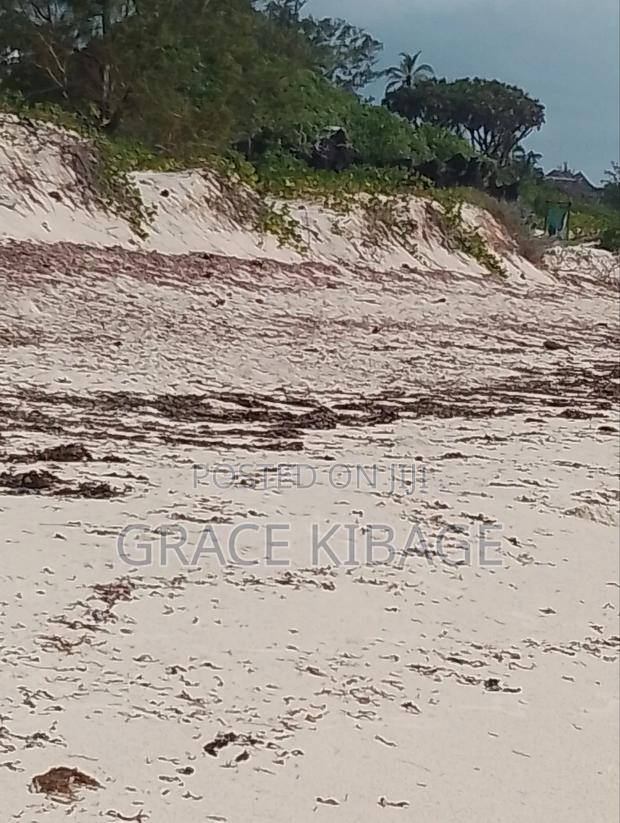 Ngomeni Front Beach Land for Sale - thumbnail 3