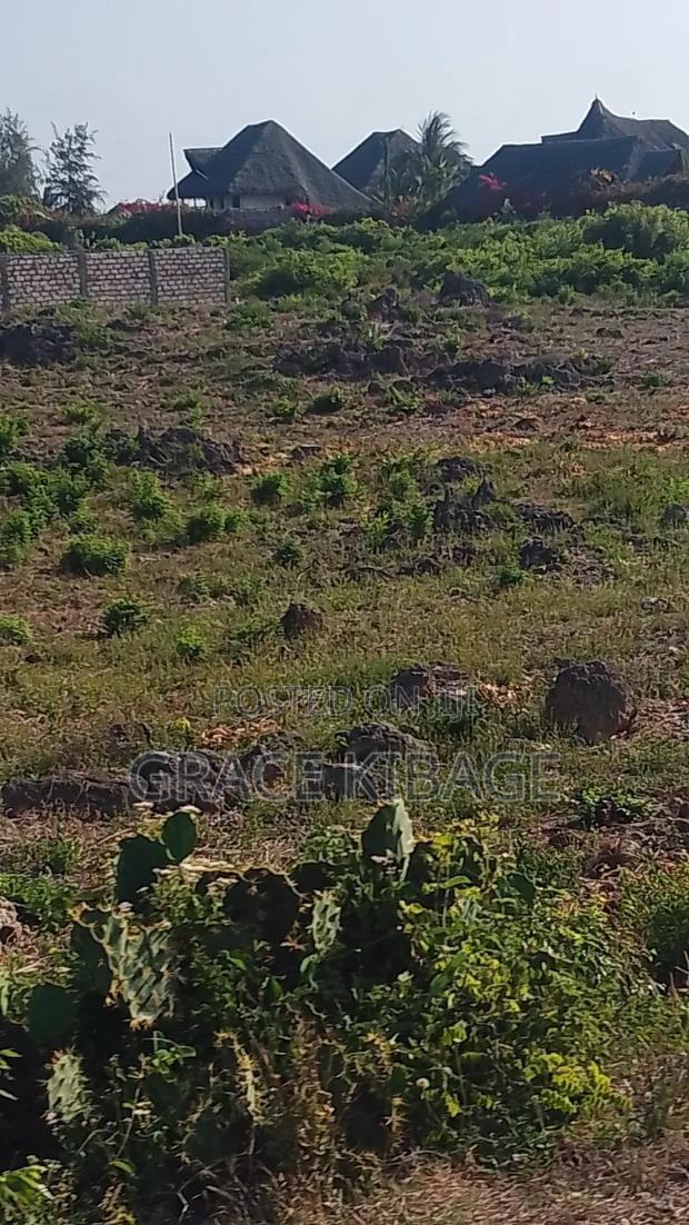 Ngomeni Front Beach Land for Sale - thumbnail 5