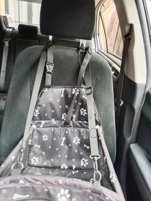 Pet Car Cair - main view