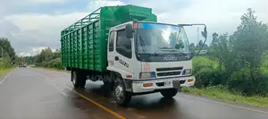 Transport Hauling Services.Trucks Canters for Transport.