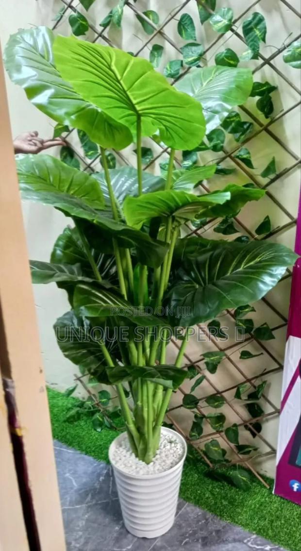 Beautiful Artificial Plants**