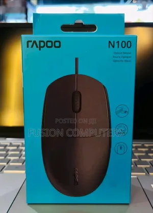 Rapoo Optical Mouse N100 – Black