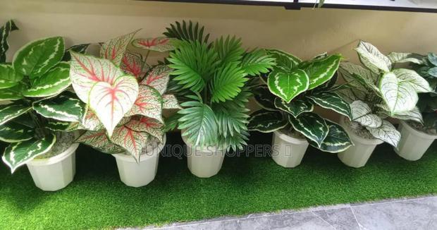 Artificial Home Decor Plants Available