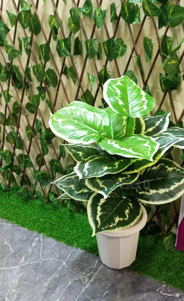 Artificial Home Decor Plants Available - thumbnail 3
