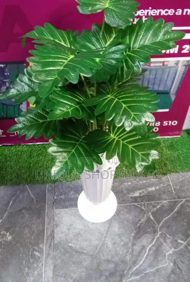 Artificial Home Decor Plants Available - thumbnail 4