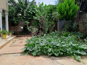 Furnished 4bdrm House in Kenyatta Road / Theta  for sale