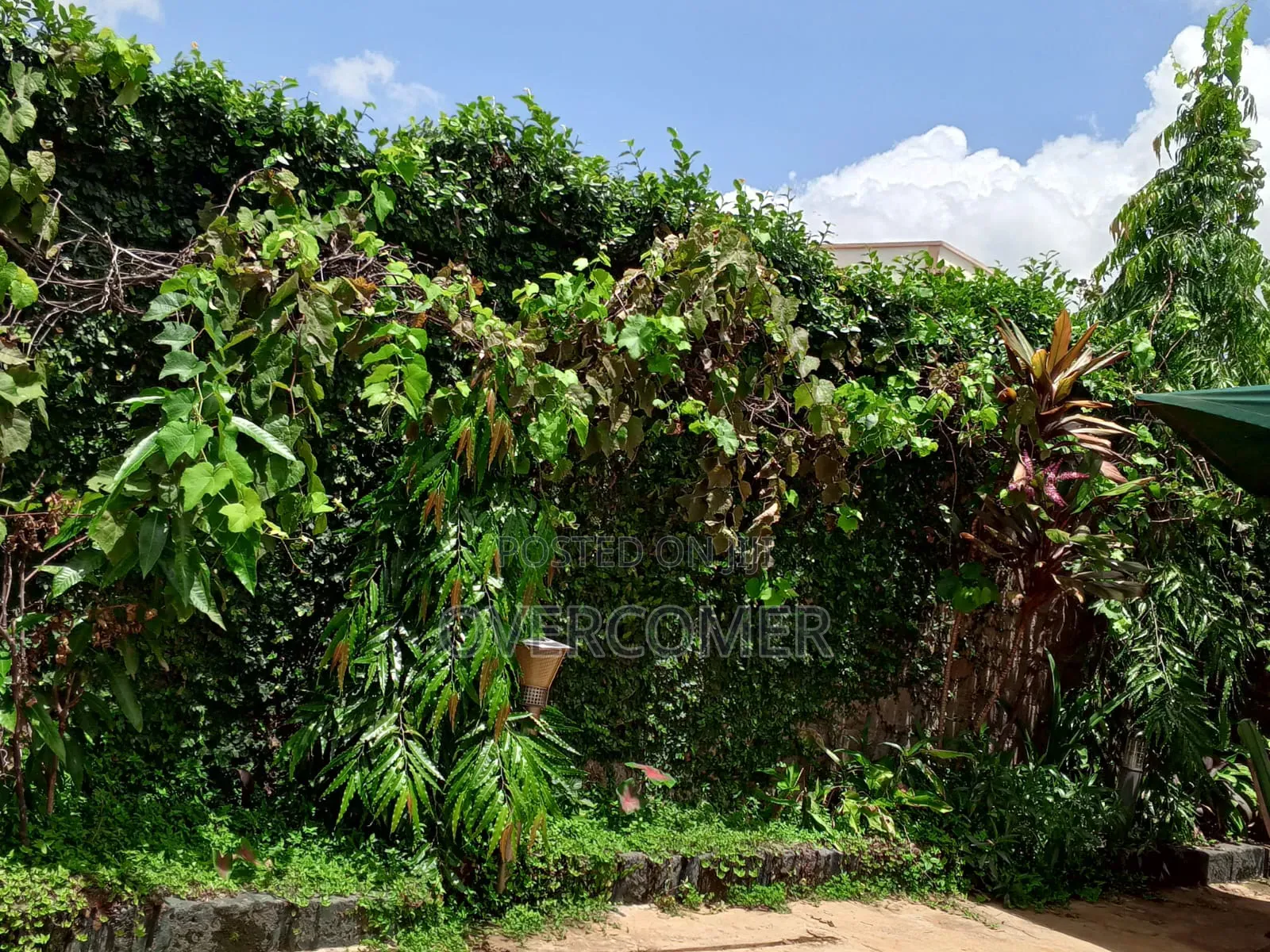 Furnished 4bdrm House in Kenyatta Road / Theta  for sale