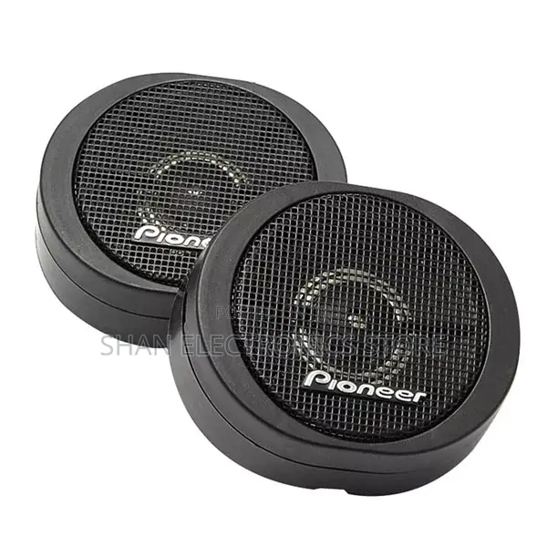 Hight Power Car Tweeter Speakers Car Audio Small Speaker(Ts-S20)