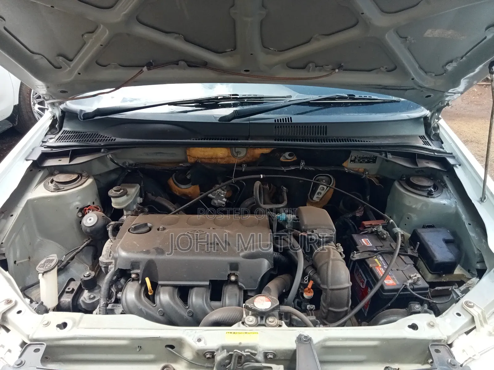Toyota Probox 2010 White