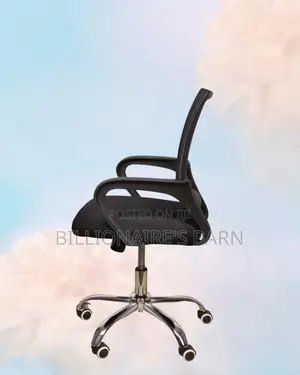 Stylish — Weather in Office Mesh | Top Seller in Kenya