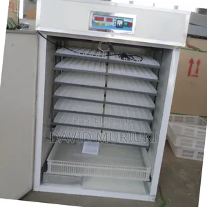 64 Eggs Automatic Incubator