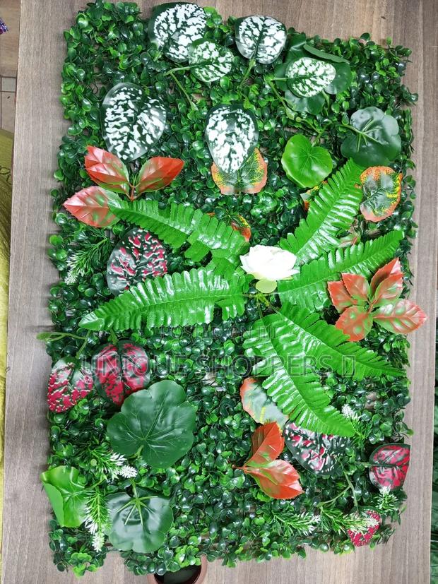 Boxwood Wall Hedges - main view