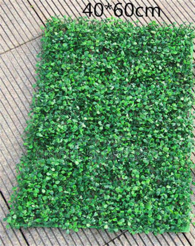 Boxwood Wall Hedges  - thumbnail 3