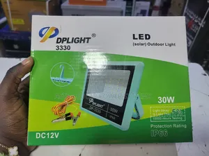 Dplight 30w Dc Floodlight