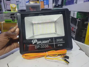 Dplight 30w Dc Floodlight