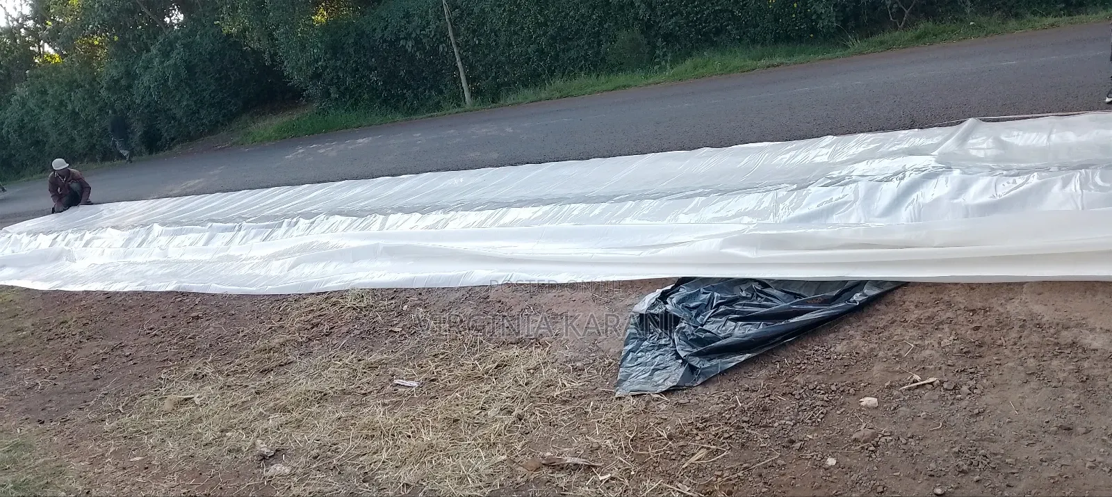 Greenhouse Paper