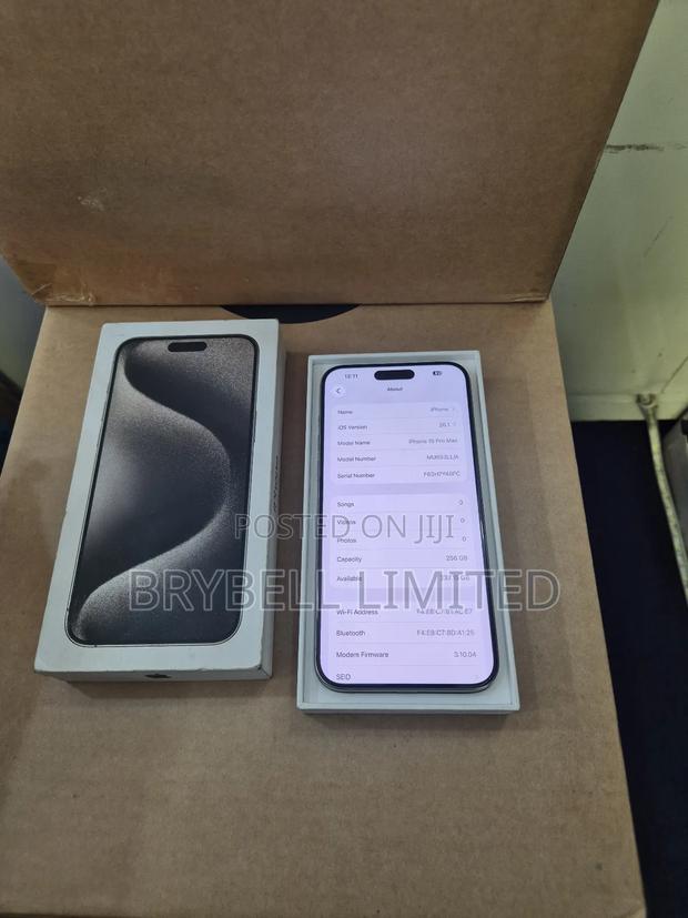 Apple iPhone 15 Pro Max 256 GB Silver - thumbnail 5