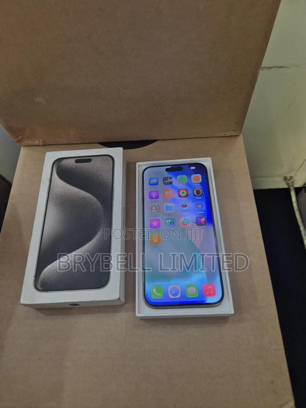 Apple iPhone 15 Pro Max 256 GB Silver - thumbnail 7