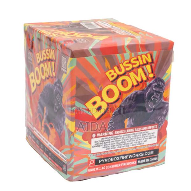 16 Shots Bussing Boom Outdoor Fireworks - main view