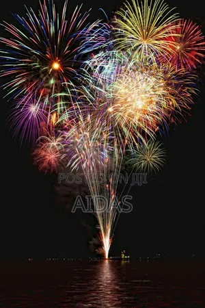 16 Shots Bussing Boom Outdoor Fireworks