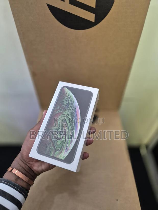 New Apple iPhone XS Max 256 GB Gray - thumbnail 3