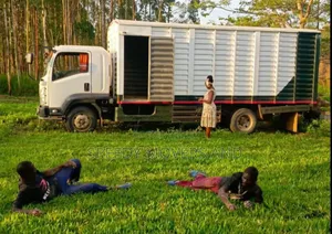Fh Trucks,Transport Hauling Service. Nairobi to Kisumu