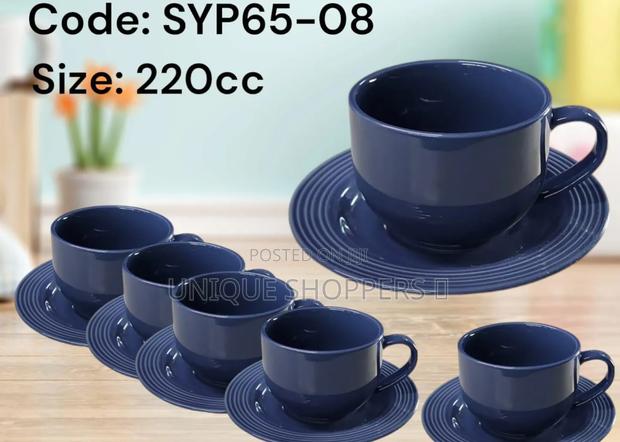 Danny Home Porcelain Cup Saucer ,220cc