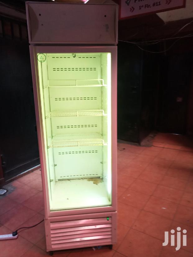 Fridge Display 450L - main view