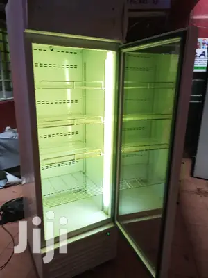 Fridge Display 450L