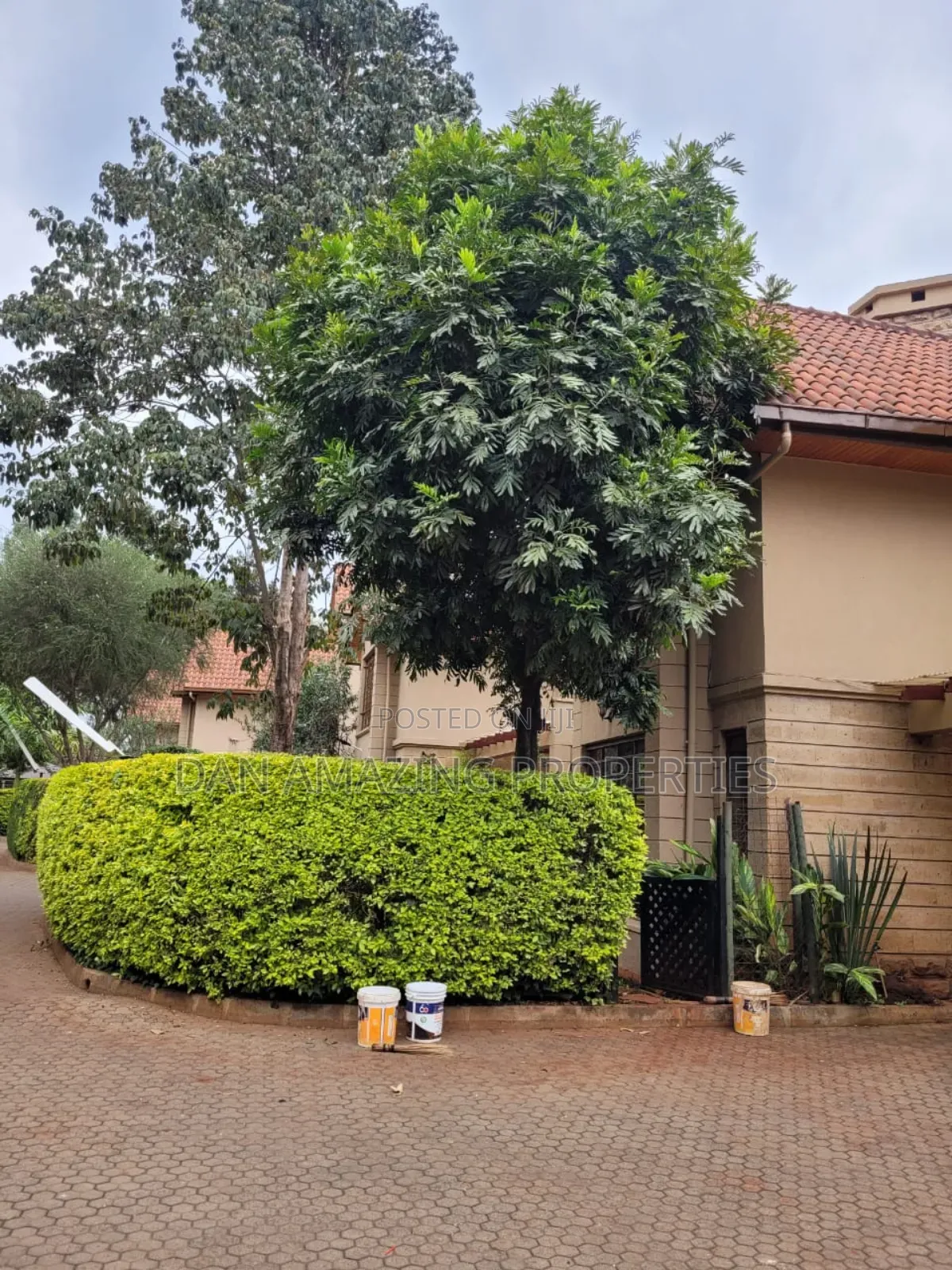 6bdrm Maisonette in Lavington Plus Dsq for rent