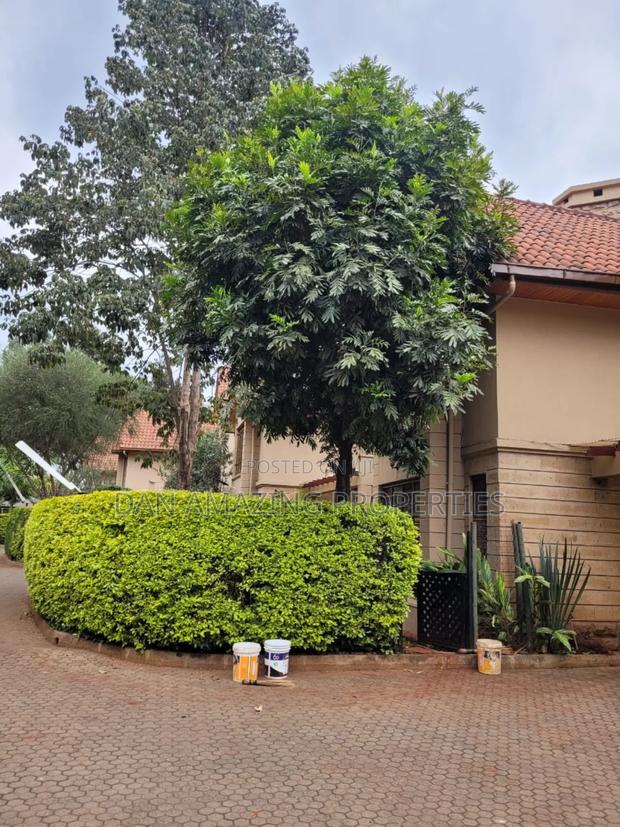 6bdrm Maisonette in Lavington Plus Dsq for rent - thumbnail 11
