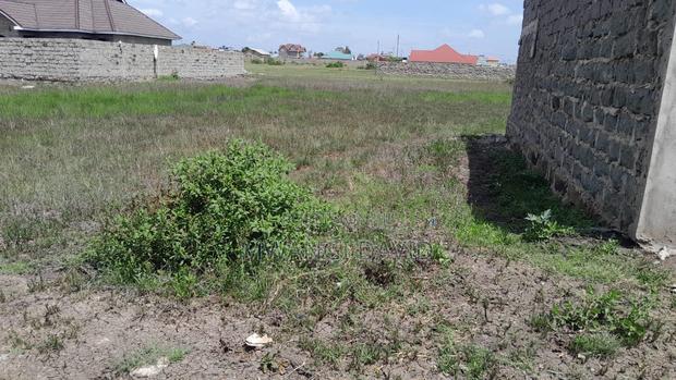 Prime 40×80 (0.0288 Ha) Investment Plot – Thika Municipality - thumbnail 3