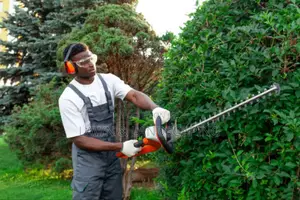 Tony's Lawncare Landscaping Solutions