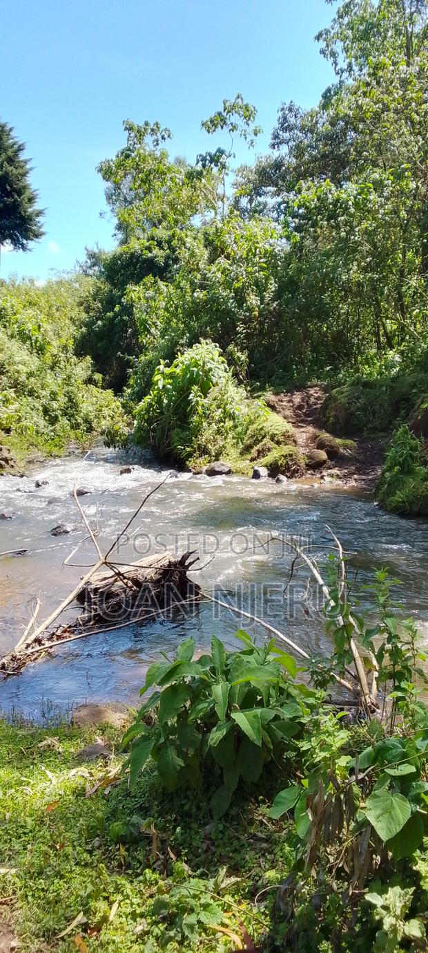 15acres Naromoru - main view