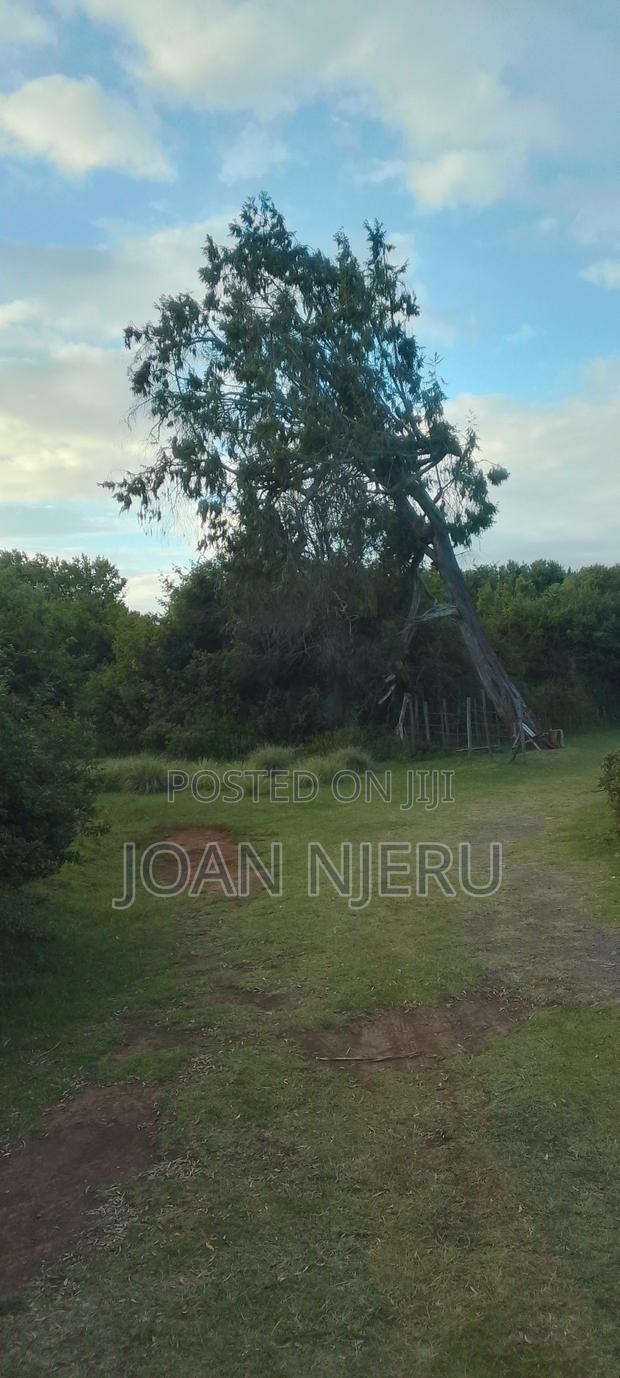 15acres Naromoru - thumbnail 3