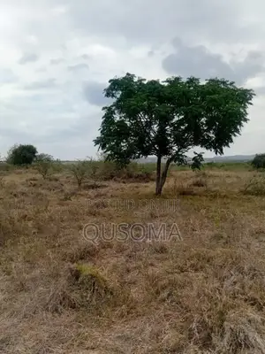 Best Deal Ever. 23 Plots at Kinanie, Machakos, Own Your Future Today