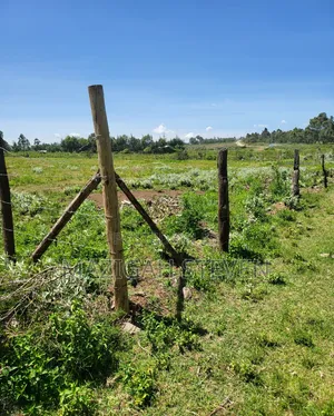 Plots for Sale