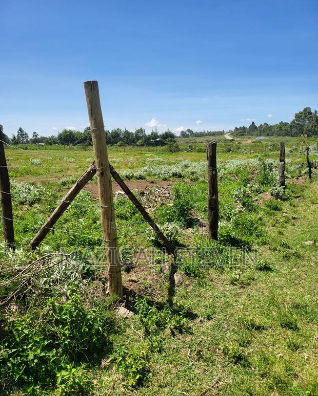 Plots for Sale - thumbnail 2