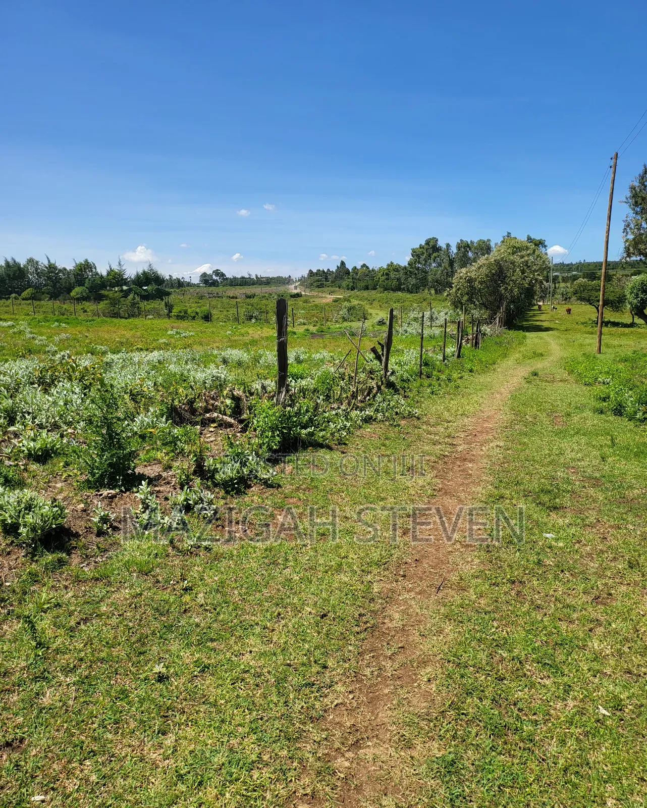 Plots for Sale