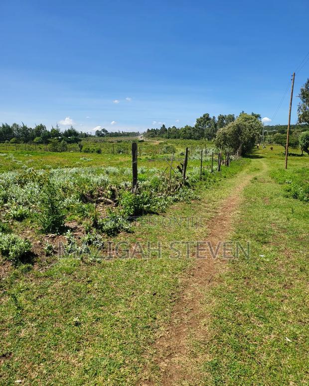 Plots for Sale - thumbnail 4