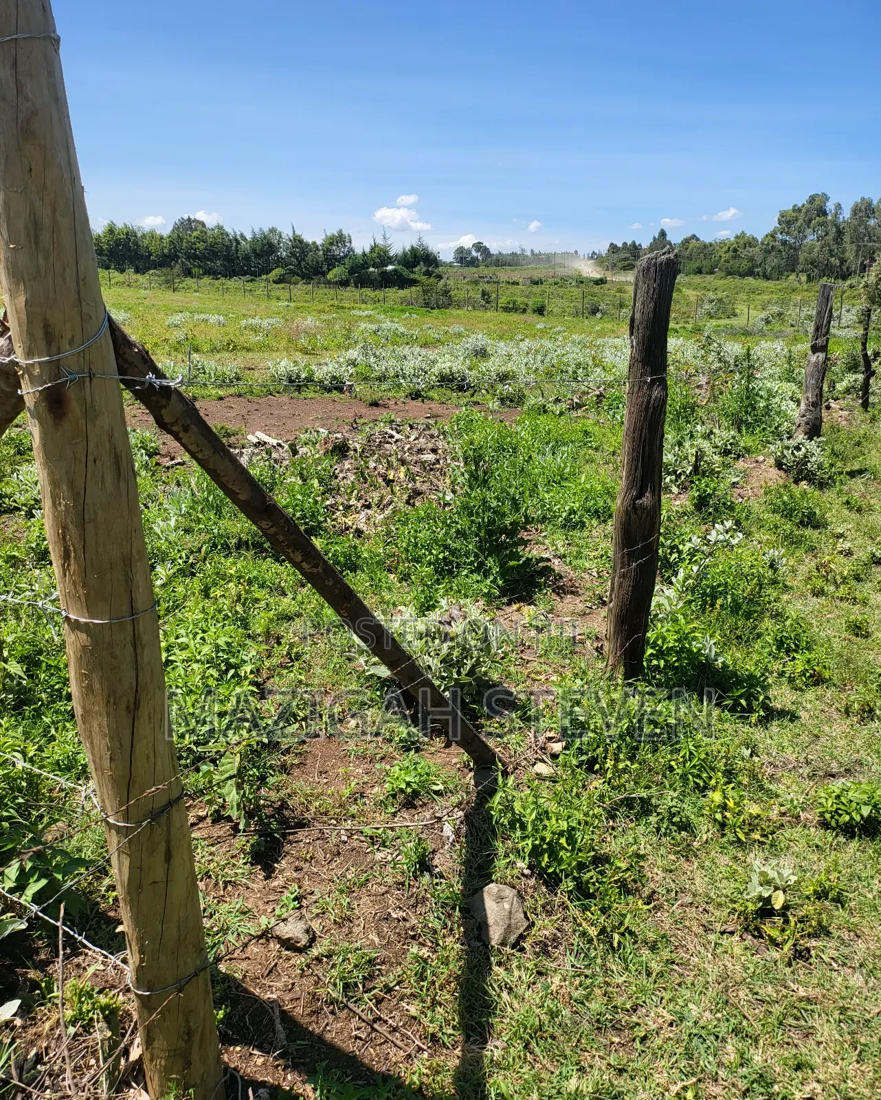 Plots for Sale