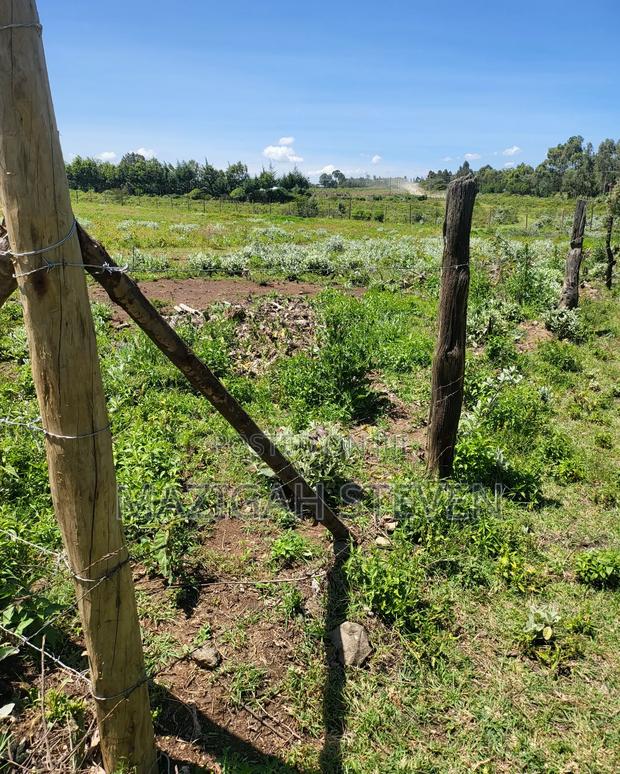 Plots for Sale - thumbnail 5