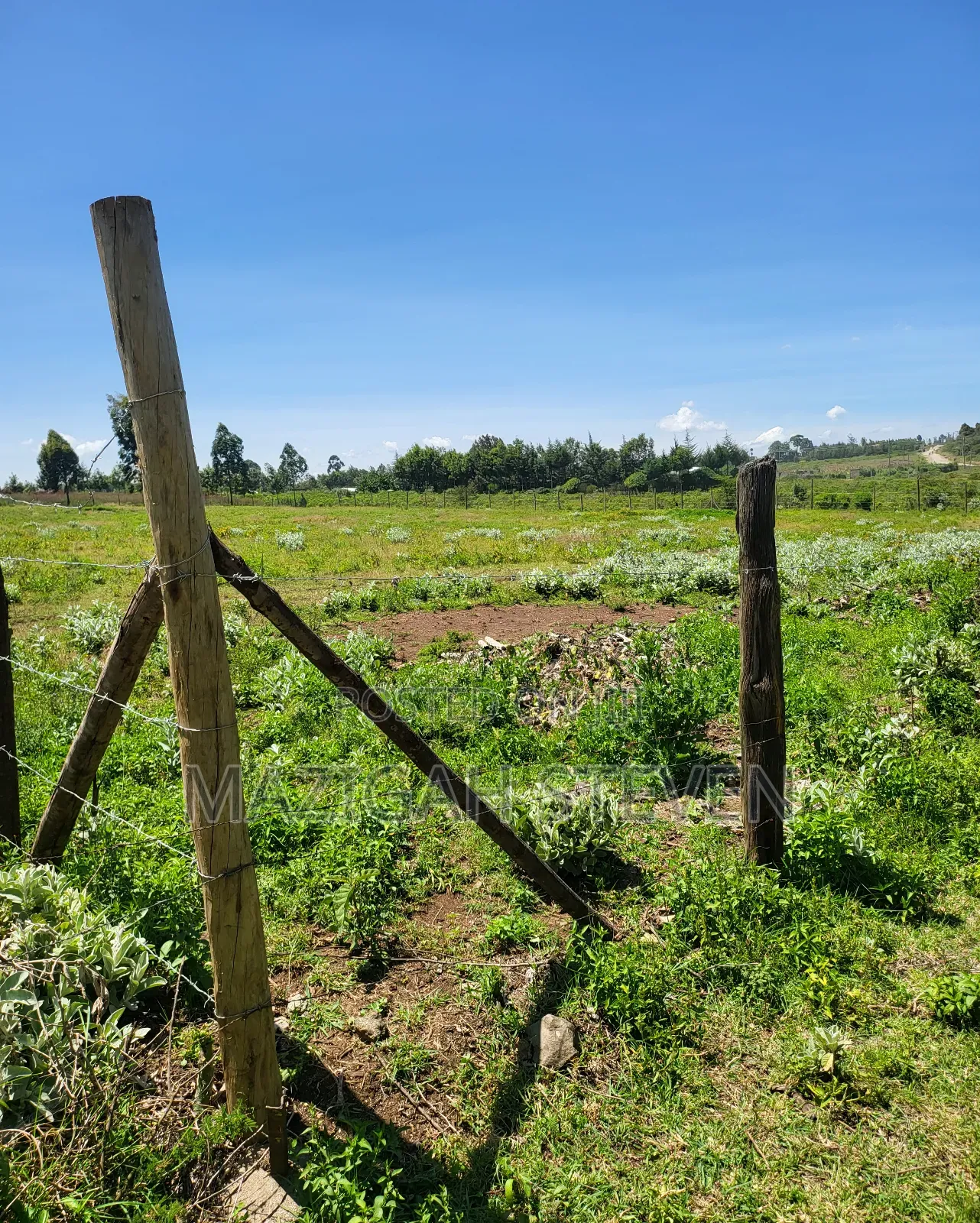 Plots for Sale