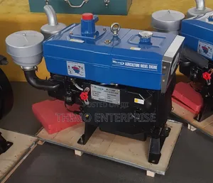 Diesel Engine 22hp