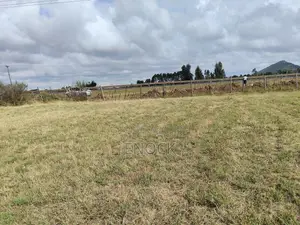 Moiben Junction Plots Eldoret