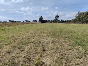 Moiben Junction Plots Eldoret